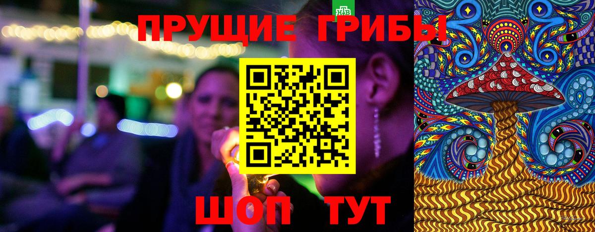 Галлюциногенные грибы GOLDEN TEACHER  Вход с VPN  Петровск 